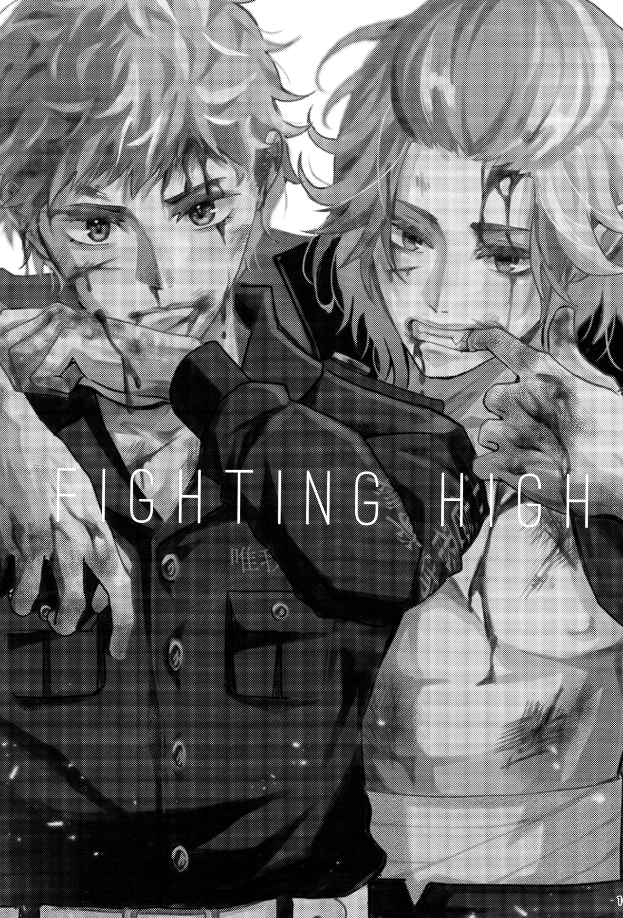 Fighting high - 189390