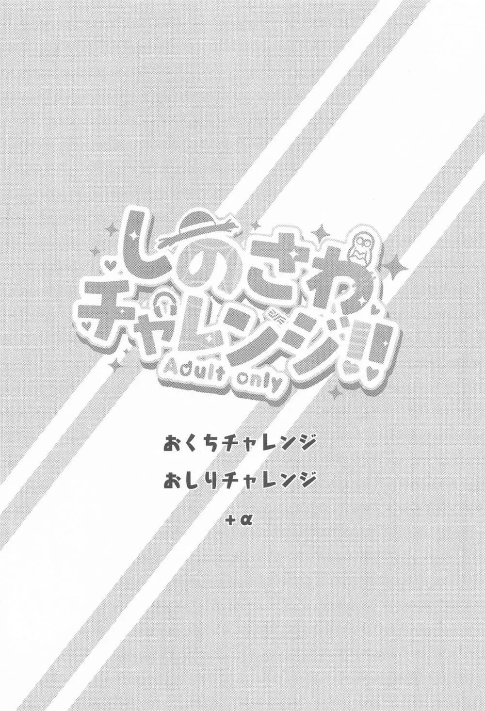 しのさわチャレンジ - 206002