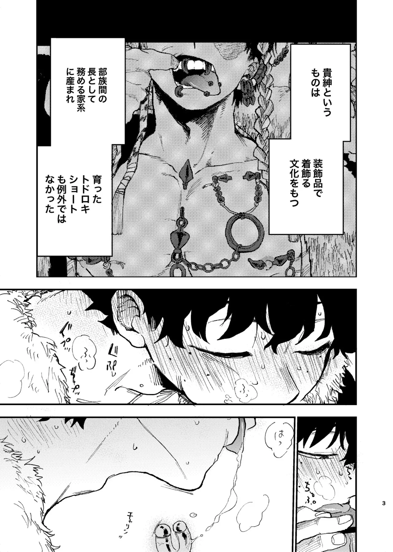 【コピー誌】ピアス事情 - 210300