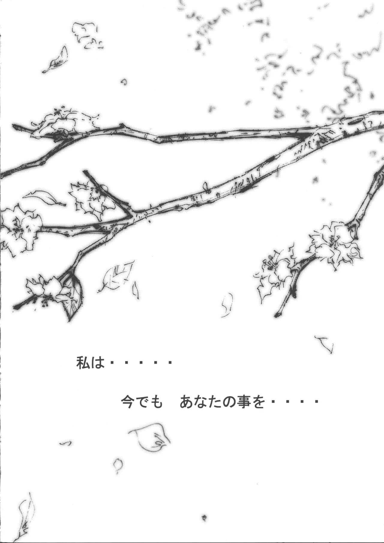 wish - 214258