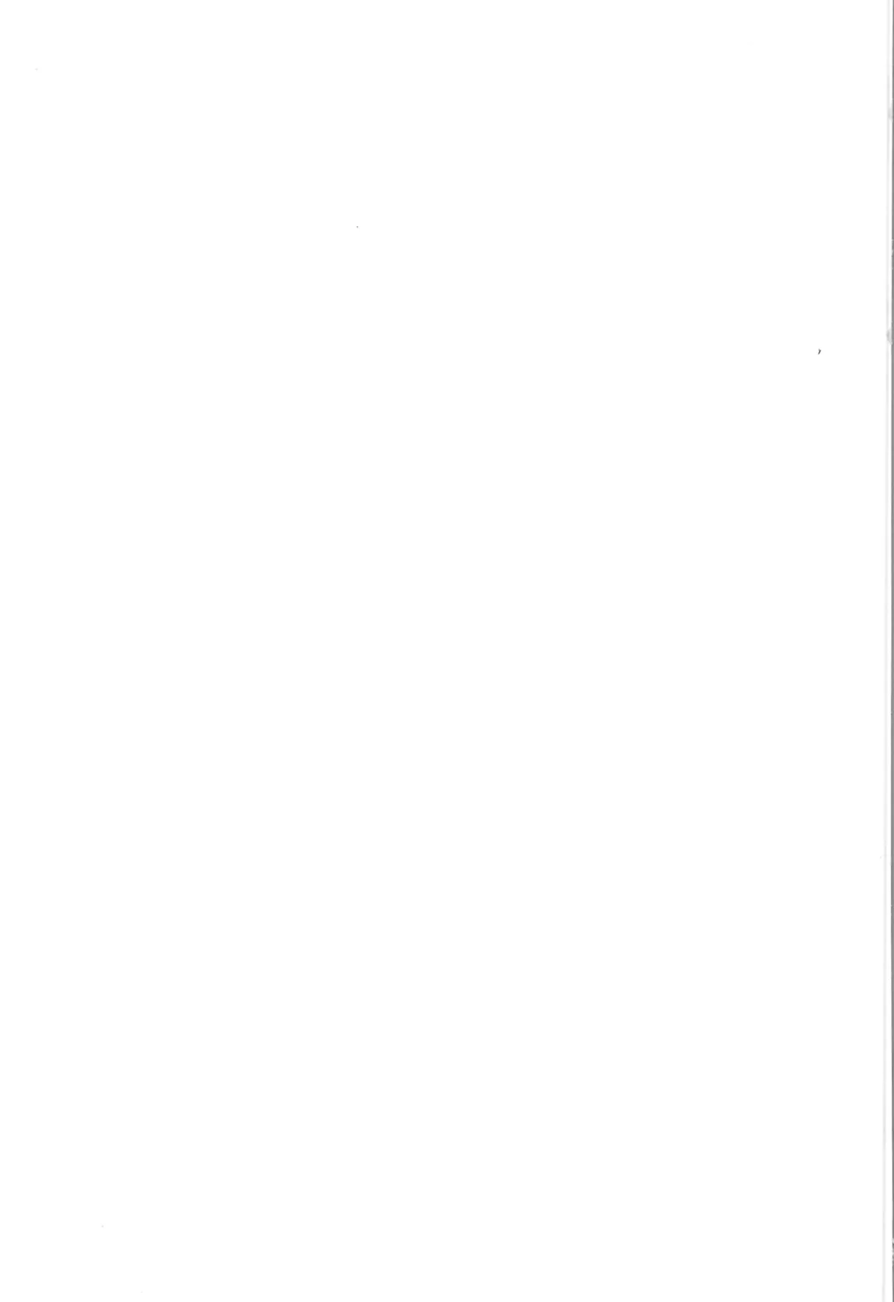 問答無用 - 216764