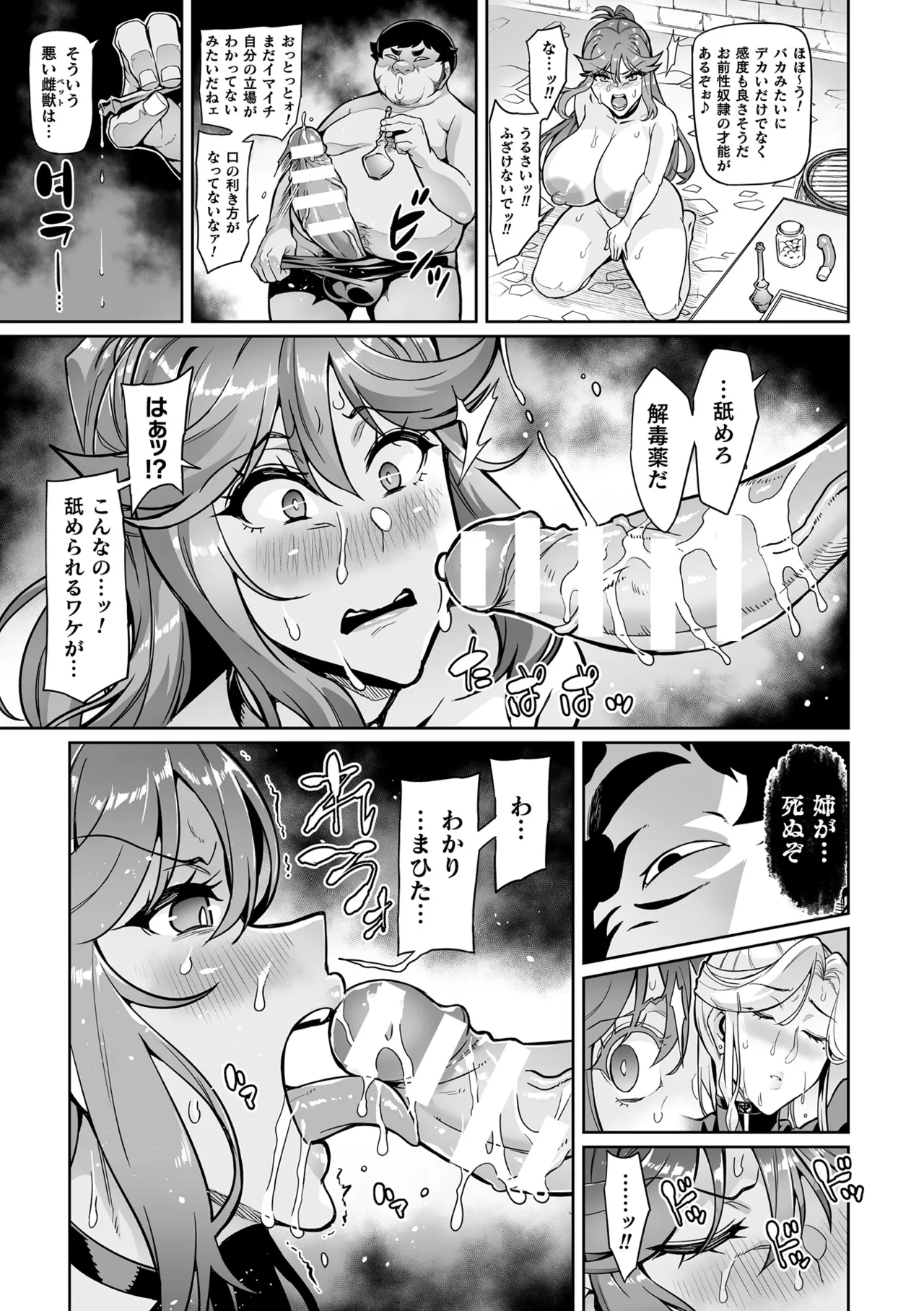 戦姫調教 ヴァルキリーテイマー - 68385