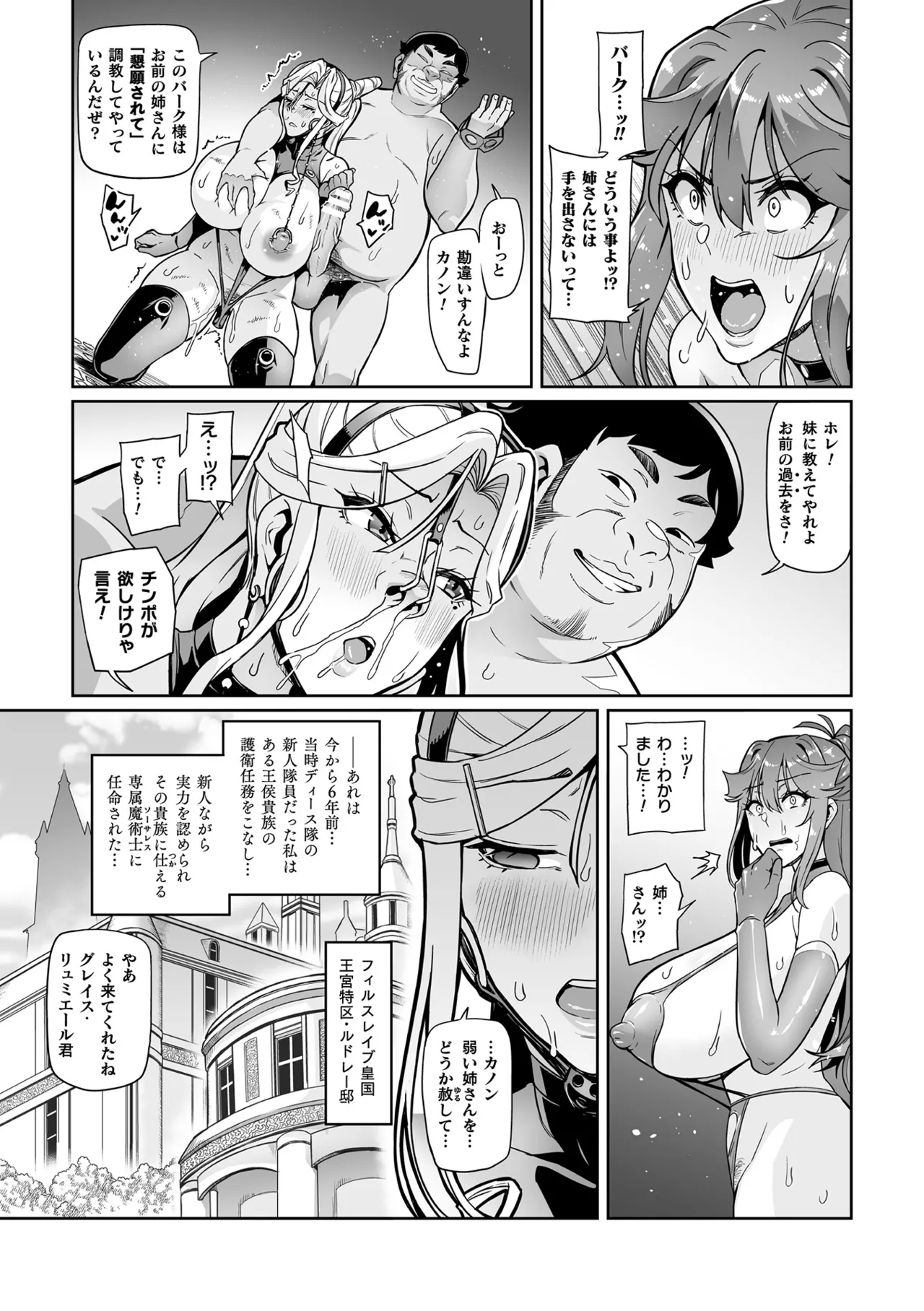 戦姫調教 ヴァルキリーテイマー - 68407
