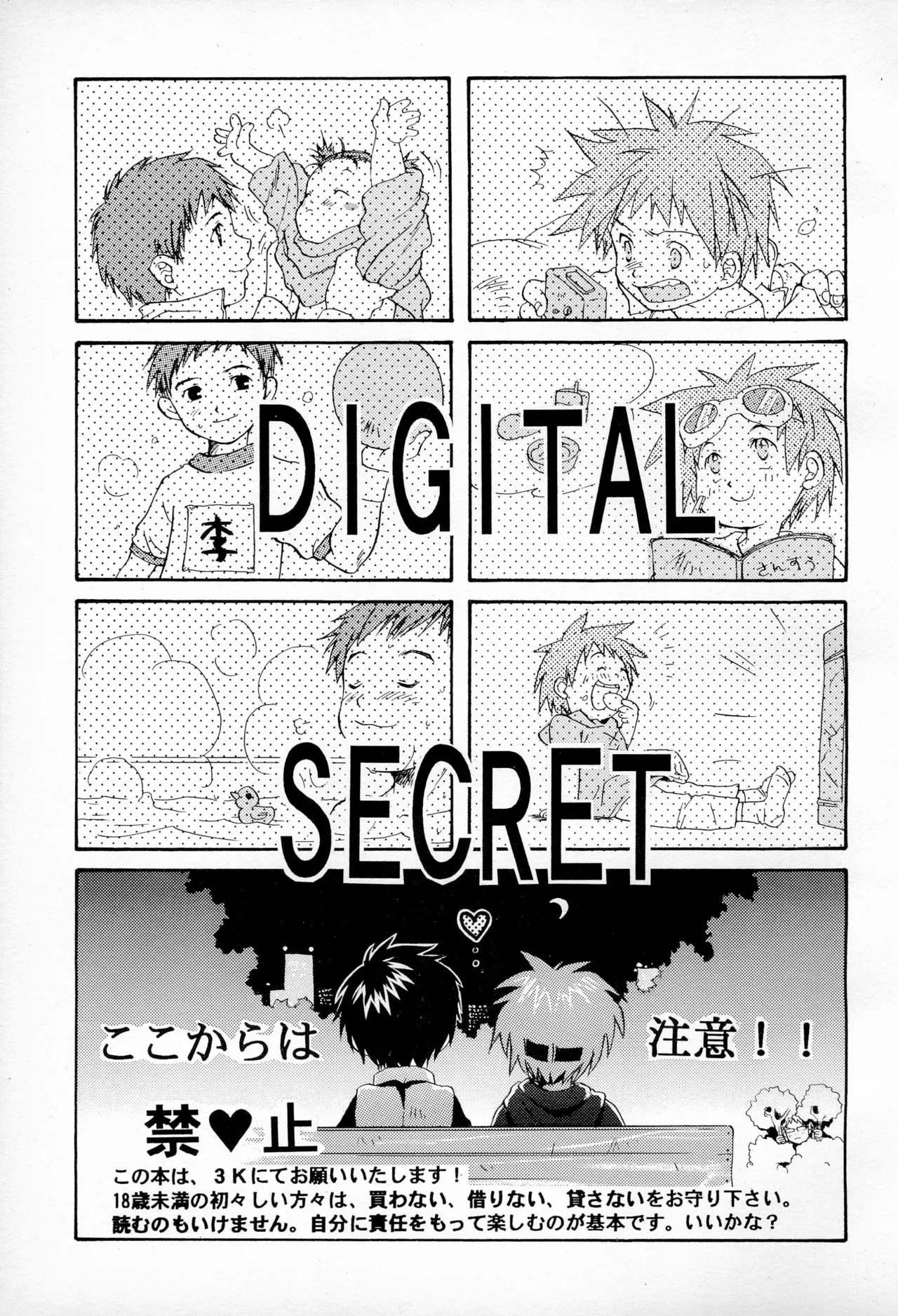 DIGITAL SECRET - 135994
