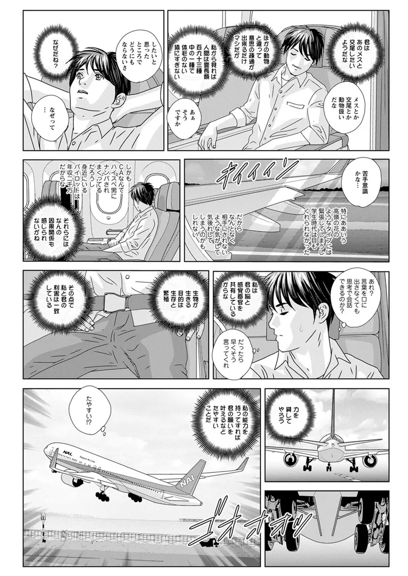 ホットロッドデラックス - 167522