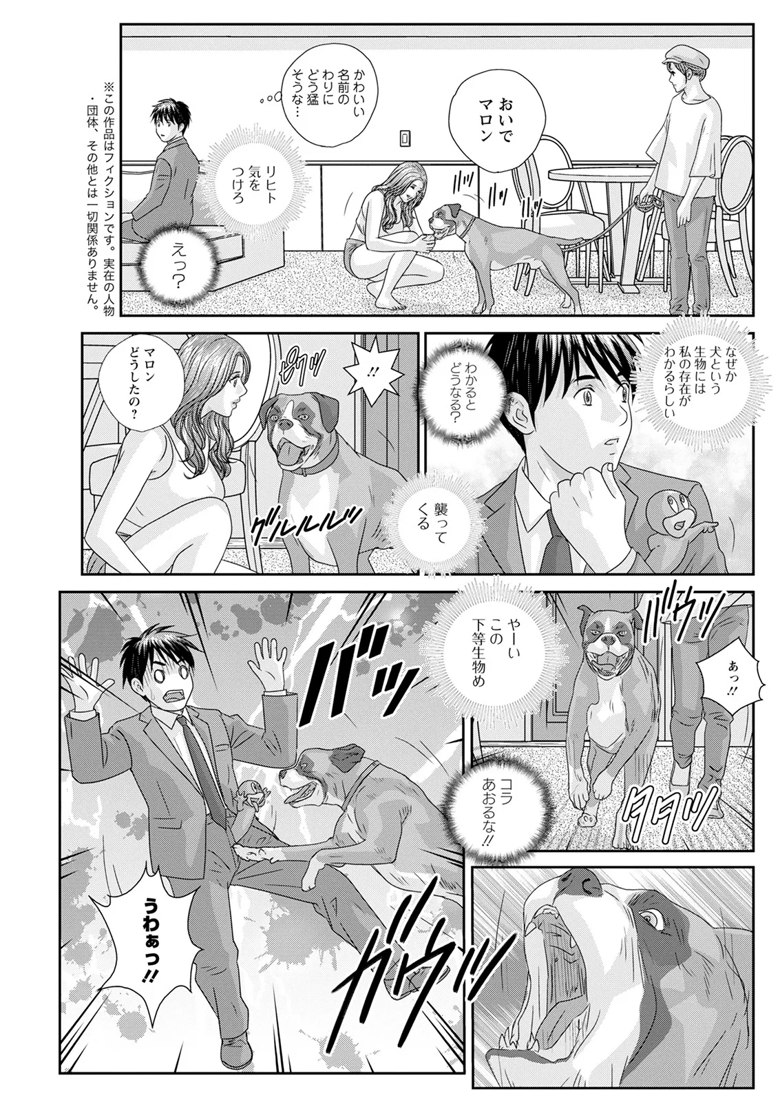 ホットロッドデラックス - 167752