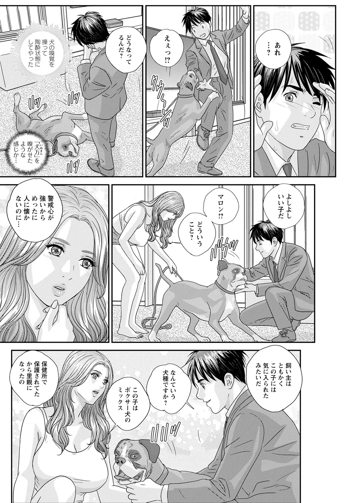 ホットロッドデラックス - 167753