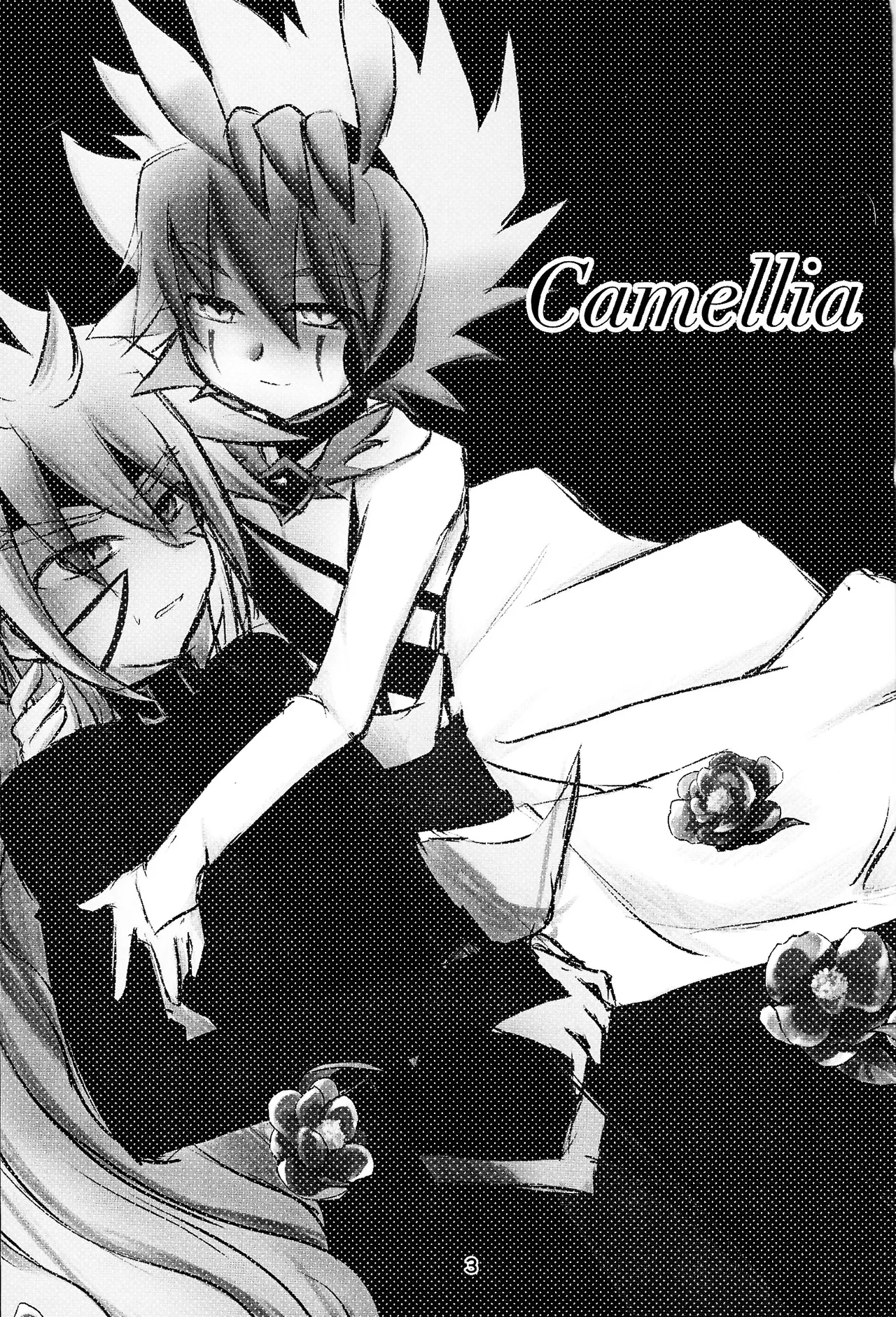 Camellia - 173779